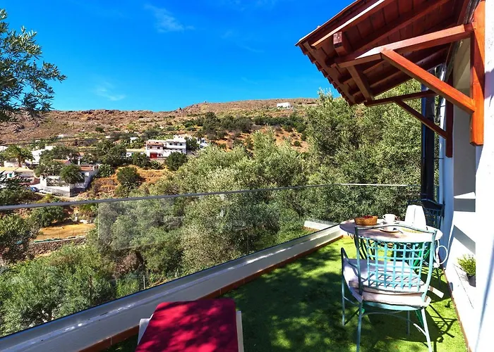 Family Cottage Among Olive Trees